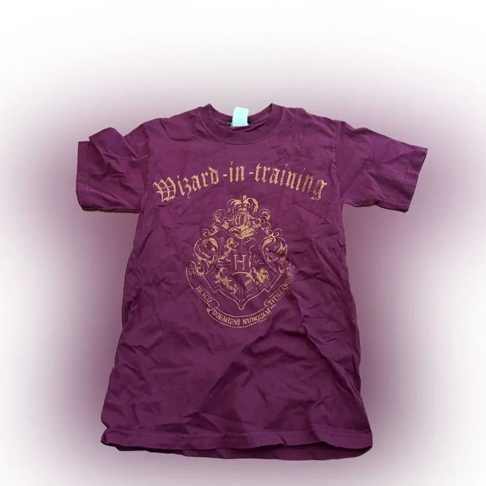 Y2K Harry Potter Wizard In Training Tshirt